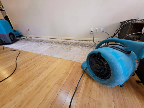 Professional Water Extraction technician working in Charlemont, MA